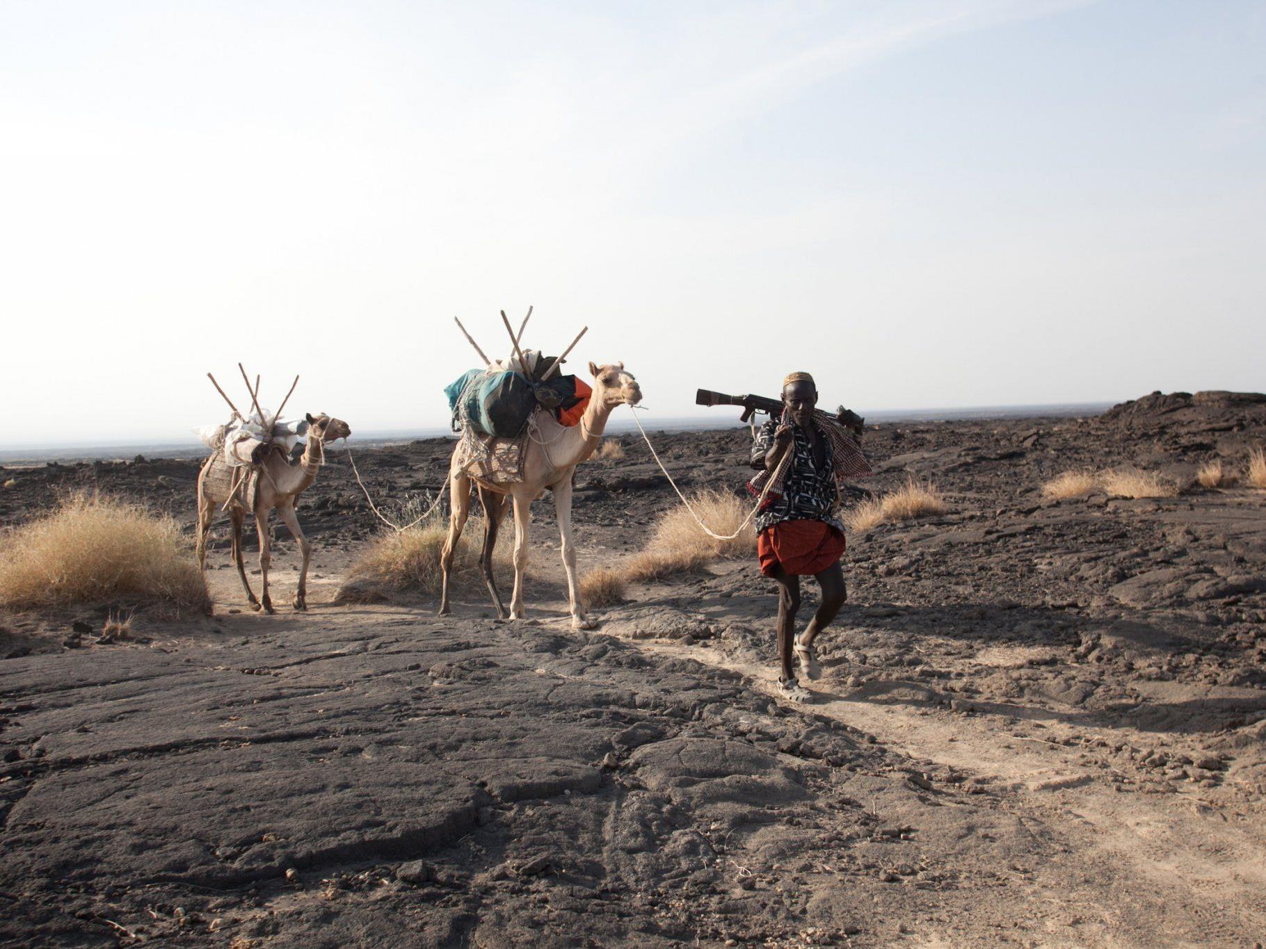 Kamele mit ihrem Führer in der Danakil-Wüste im Norden Äthiopiens, im Jahr 2011. Bei dem Überfall auf europäische Touristen in dieser Gegend ist ein Österreicher getötet worden.