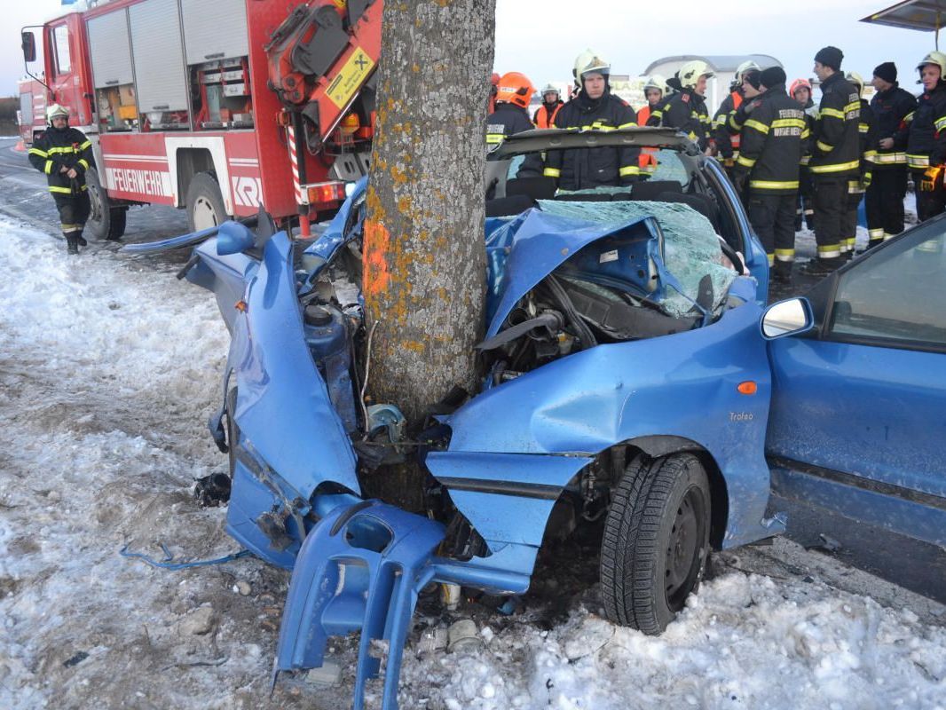 Praktisch um den Baum gewickelt hat sich dieses Fahrzeug