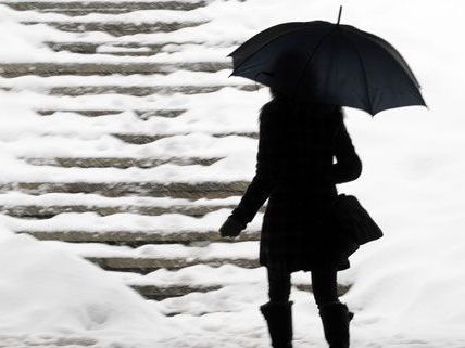 Schneesturm-Warnung in Wien und Umgebung Schneesturm-Warnung in Wien und Umgebung