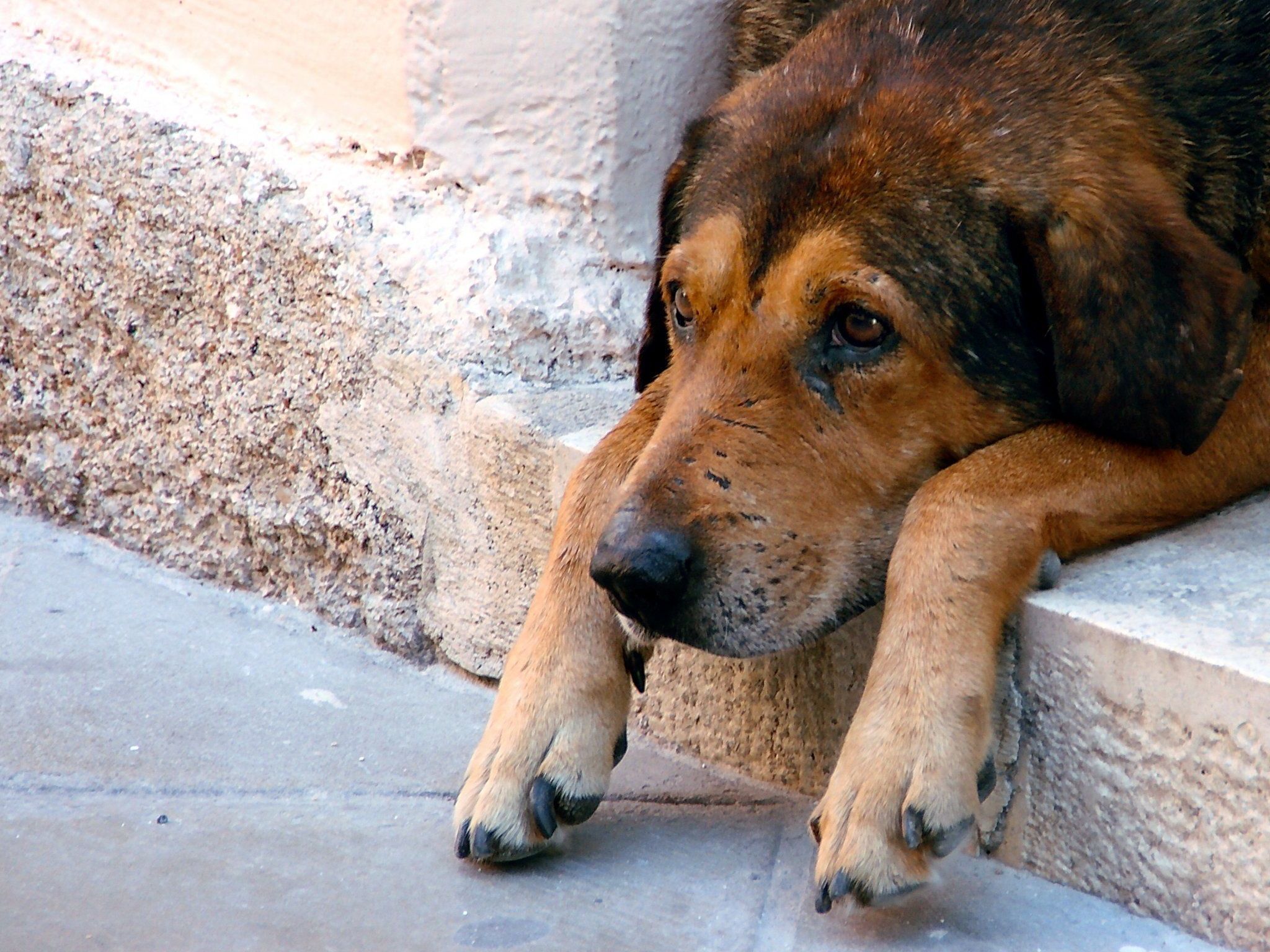 Wohin nach der Delogierung? Diese Frage stellt sich nicht nur Frauerl und Herrl. Wohin nach der Delogierung? Diese Frage stellt sich nicht nur Frauerl und Herrl.