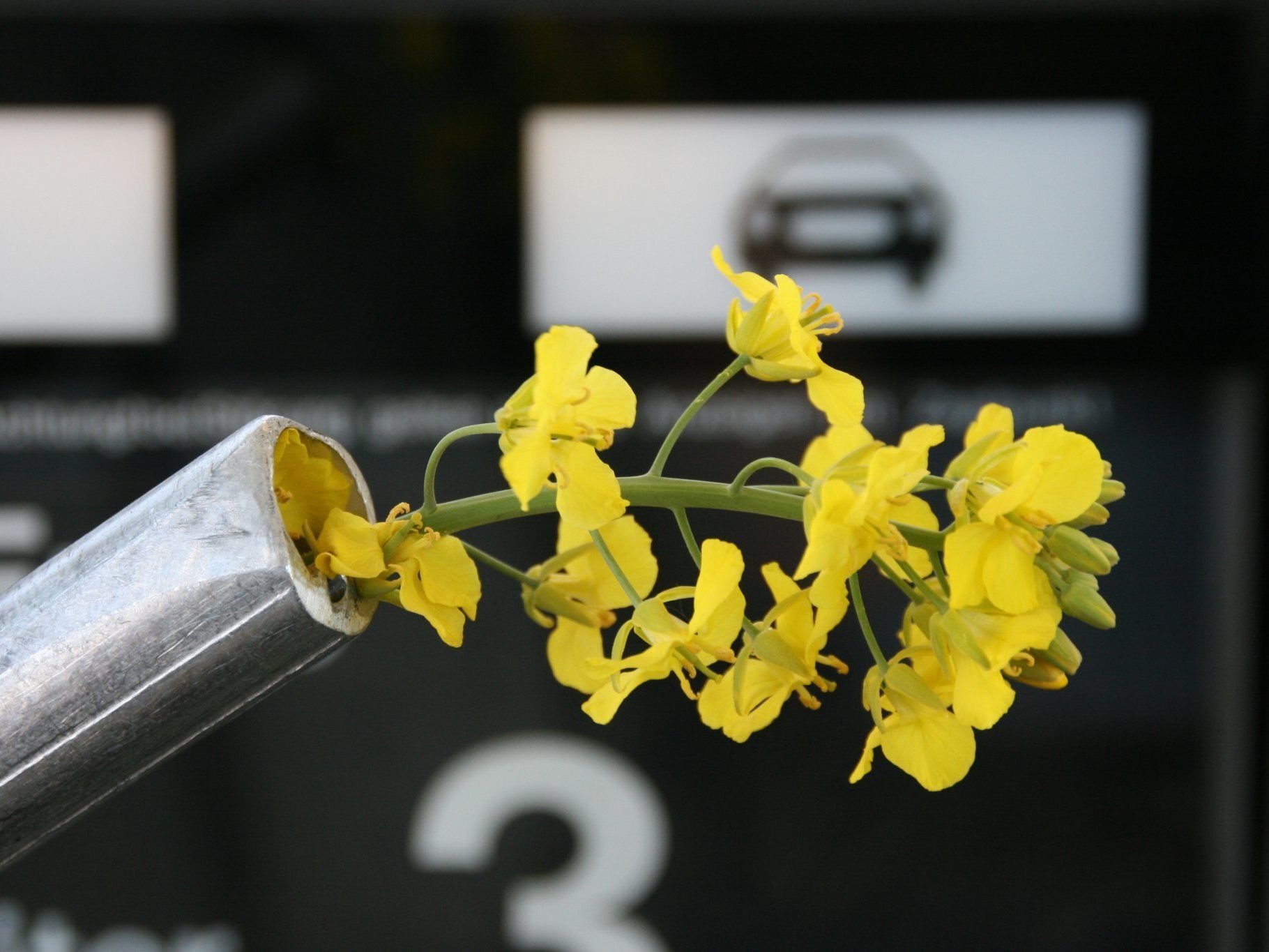 Einschnitte bei Agrardiesel: Sparpaket hat tiefgreifende Folgen für unsere Bauern. Einschnitte bei Agrardiesel: Sparpaket hat tiefgreifende Folgen für unsere Bauern.