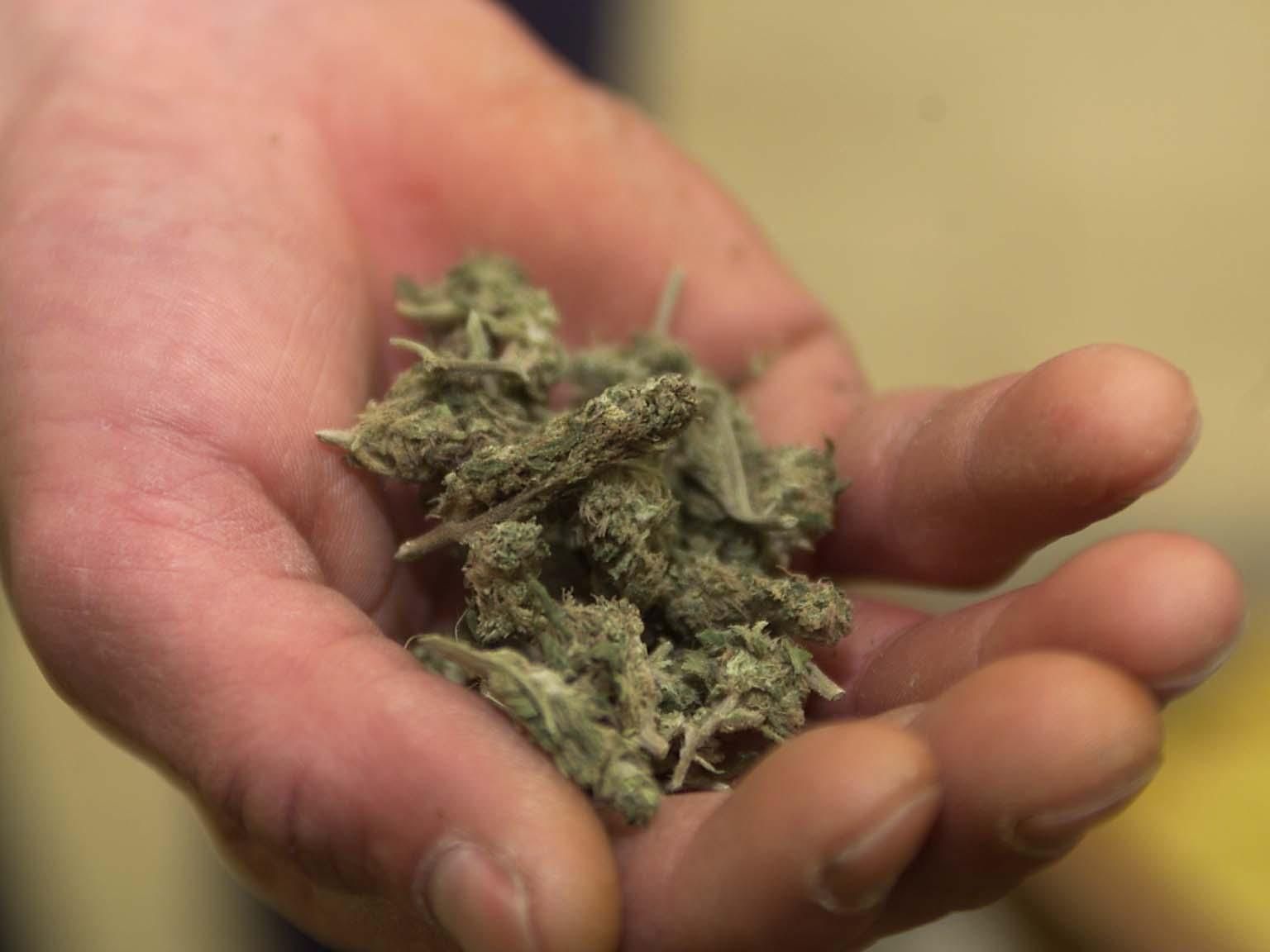 Die Schweiz will zukünftig den Besitz kleiner Mengen Cannabis nur noch mit Geldstrafen ahnden. Die Schweiz will zukünftig den Besitz kleiner Mengen Cannabis nur noch mit Geldstrafen ahnden.