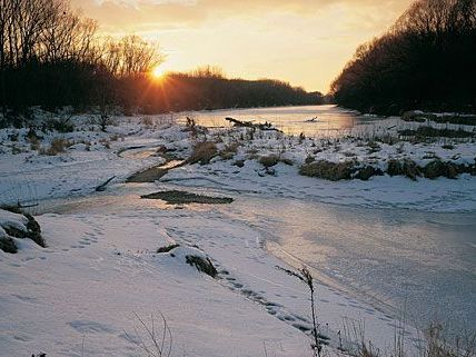 In den Donauauen war es zu Eissprengungen gekommen - sehr zum Unmut von Umweltschützern In den Donauauen war es zu Eissprengungen gekommen - sehr zum Unmut von Umweltschützern