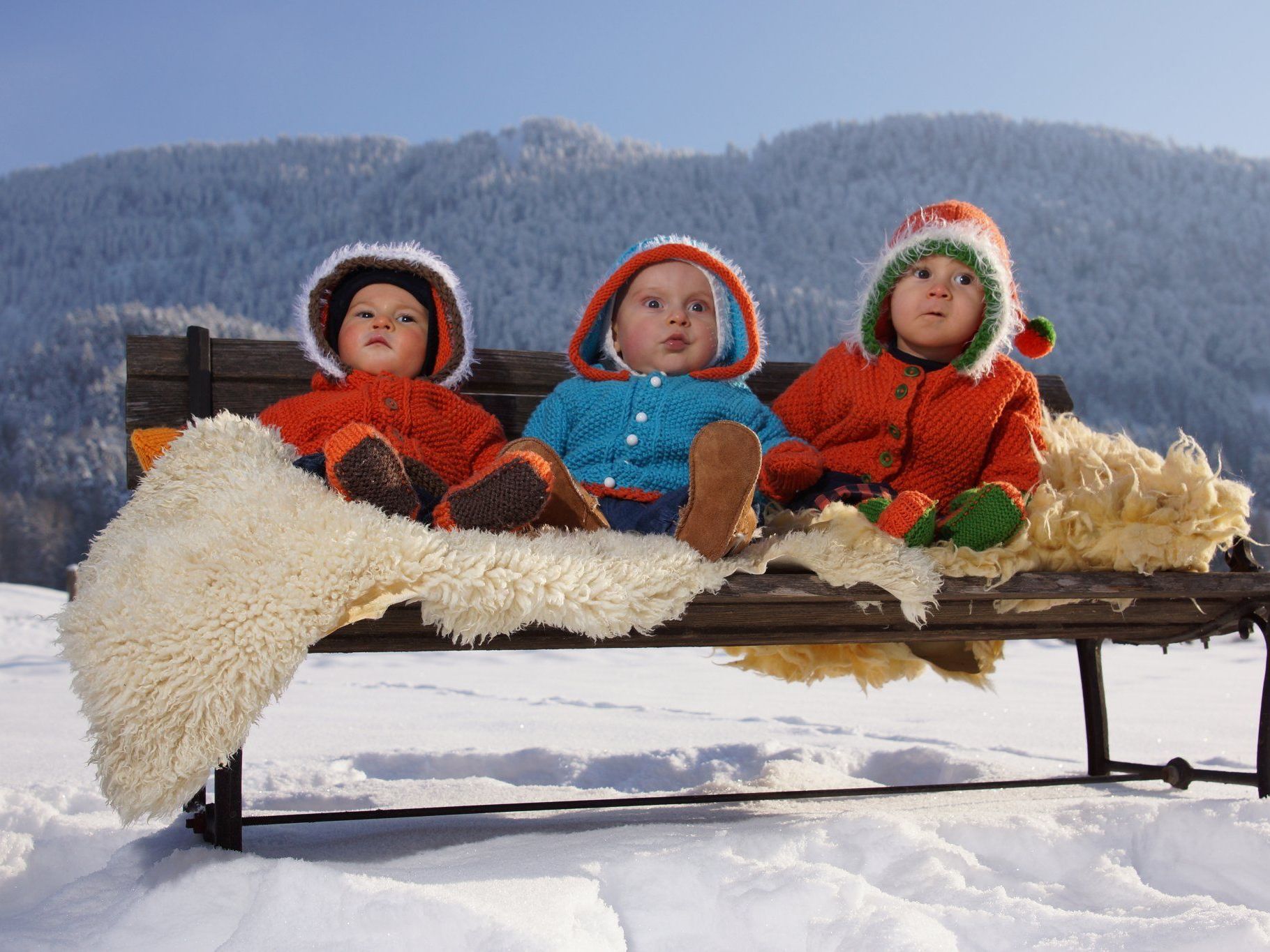 Symbolbild: diese Wälderbabys sind Jarno,Vitus,Konrad Symbolbild: diese Wälderbabys sind Jarno,Vitus,Konrad