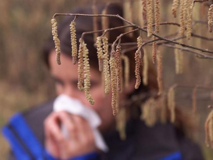 So schön es ist, wenn alles endlich wieder zu blühen beginnt - für viele Menschen ist es eine Qual So schön es ist, wenn alles endlich wieder zu blühen beginnt - für viele Menschen ist es eine Qual