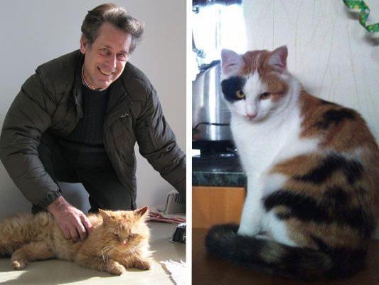 Karl-Heinz Hanny bringt wöchentlich fünf Katzen ins Tierschutzheim. - Pauline ist seit rund zwei Wochen verschwunden.