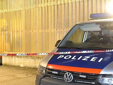 Lagerhallen-Mord: Am Dienstag stehen die Witwe und der Cousin des erschossenen Mannes vor Gericht. Lagerhallen-Mord: Am Dienstag stehen die Witwe und der Cousin des erschossenen Mannes vor Gericht.
