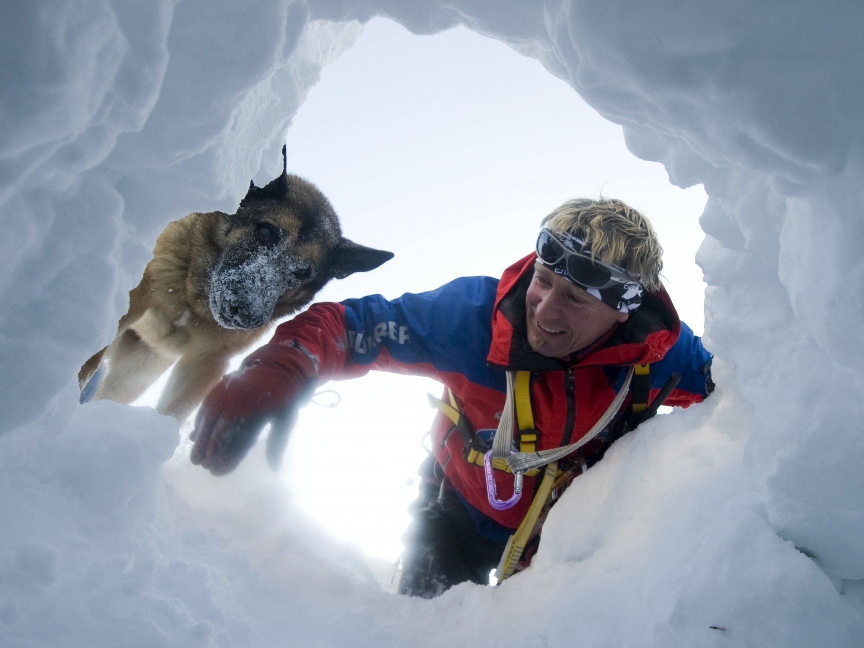 Lawinensuchhund eim Einsatz. Lawinensuchhund eim Einsatz.