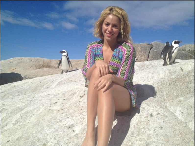 Findet Pinguine "definitiv freundlicher" als Seelöwen - der kolumbianische Superstar Shakira. Findet Pinguine "definitiv freundlicher" als Seelöwen - der kolumbianische Superstar Shakira.