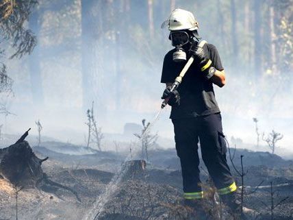 Waldbrand in Wiener Neustadt