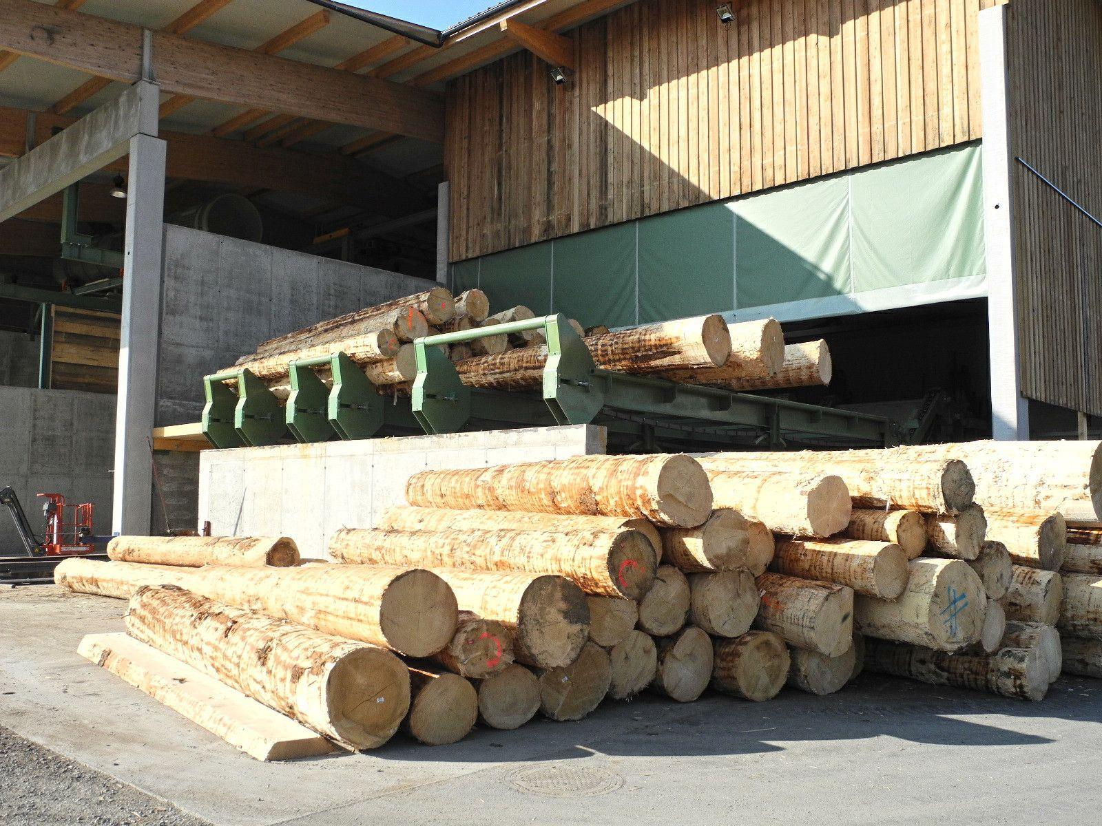Im Vollbetrieb werden täglich rund 100 Festmeter, 80 bis 100 Starkholzstämme, verarbeitet.