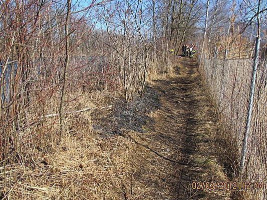 Brandstellen am Mitteldamm des Alten Rheines. Brandstellen am Mitteldamm des Alten Rheines.