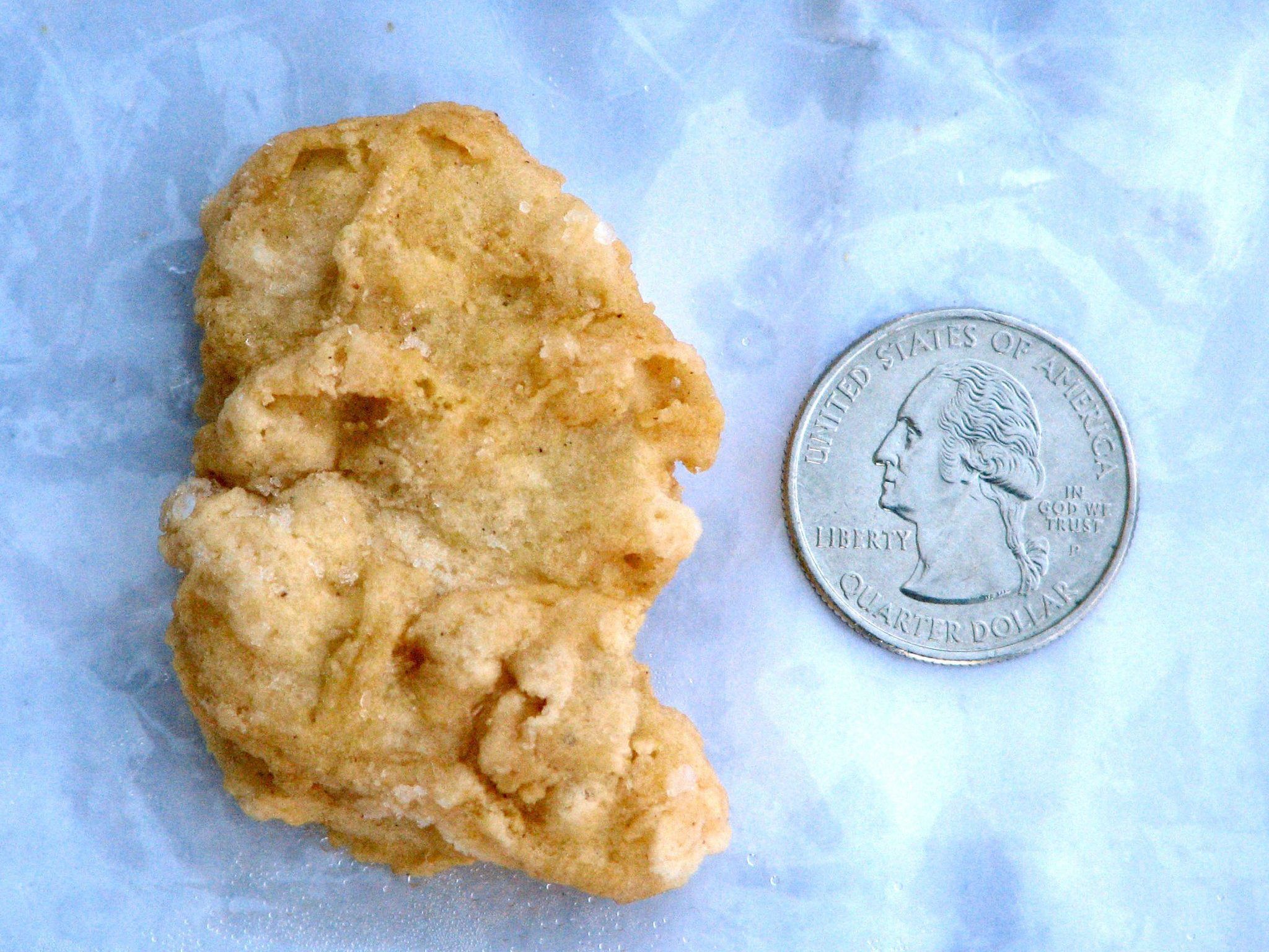 Der drei Jahre alte Chicken Nugget sollte ursprünglich für 15.000 Dollar verkauft werden. Der drei Jahre alte Chicken Nugget sollte ursprünglich für 15.000 Dollar verkauft werden.