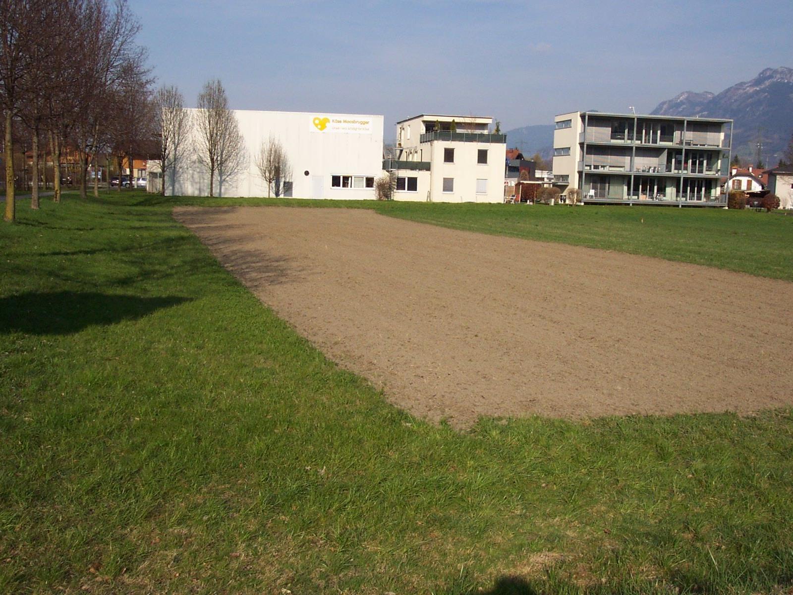 Ein  Blick auf das Grundstück ,,Mähderle“ an der ,,Neuen Landstrasse“.