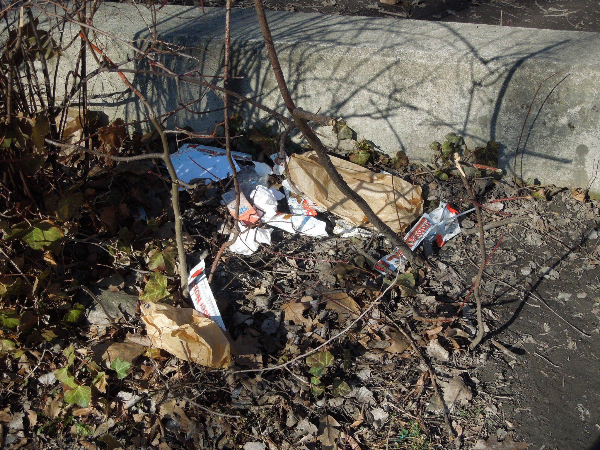 Rund um das Schulgelände im Hasenfeld liegt eine Unmenge an Müll, der achtlos entsorgt wird.