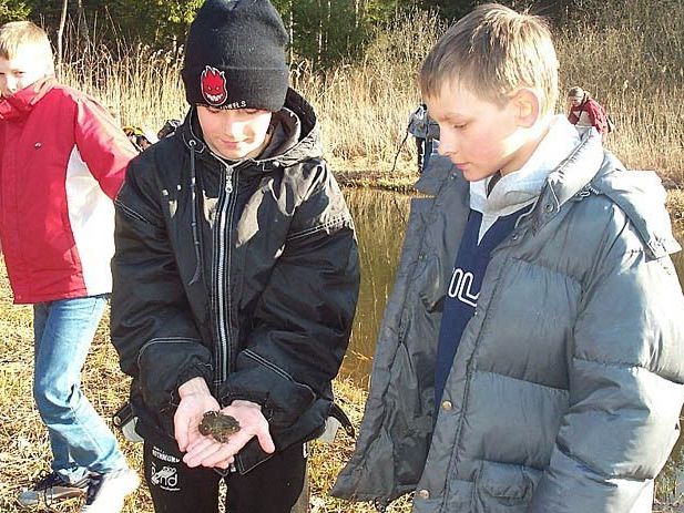 Auch die Hauptschüler halfen schon bei der sicheren Überquerung der Amphibien mit. Auch die Hauptschüler halfen schon bei der sicheren Überquerung der Amphibien mit.