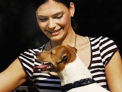 Hundetrainer können sich künftig ihre Ausbildung zertifizieren lassen Hundetrainer können sich künftig ihre Ausbildung zertifizieren lassen