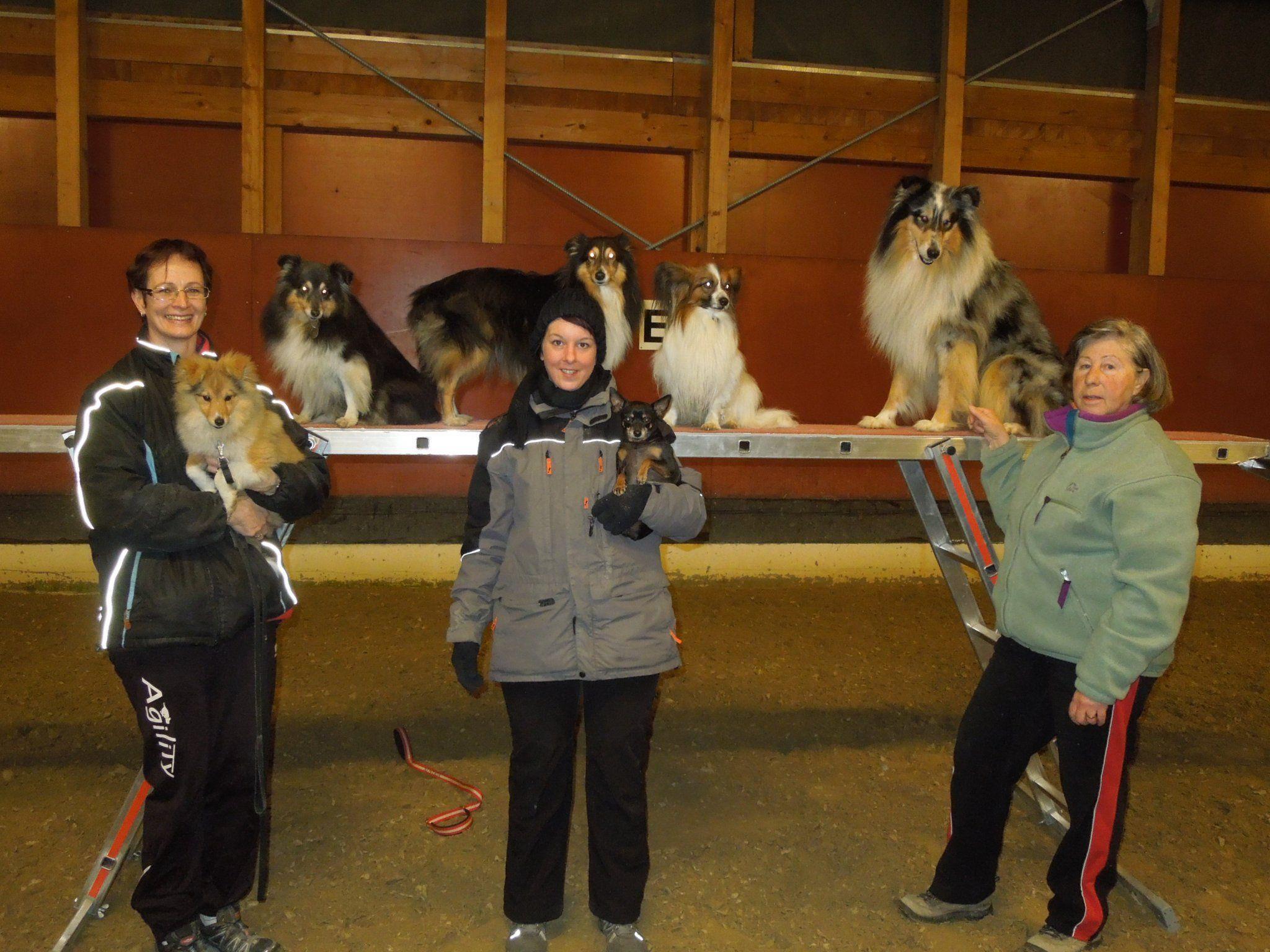 Im Winter treffen sich die ÖGV Hundesportfreunde einmal wöchentlich in der Halle zum Training.