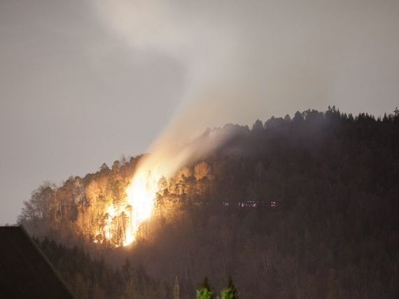 Waldbrand in Feldkirch. Waldbrand in Feldkirch.