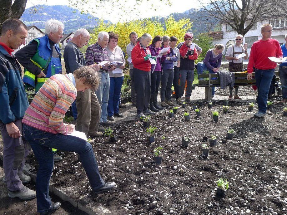 Die Besichtigung vor Ort fand noch vor dem theoretischen Teil statt. Die Besichtigung vor Ort fand noch vor dem theoretischen Teil statt.