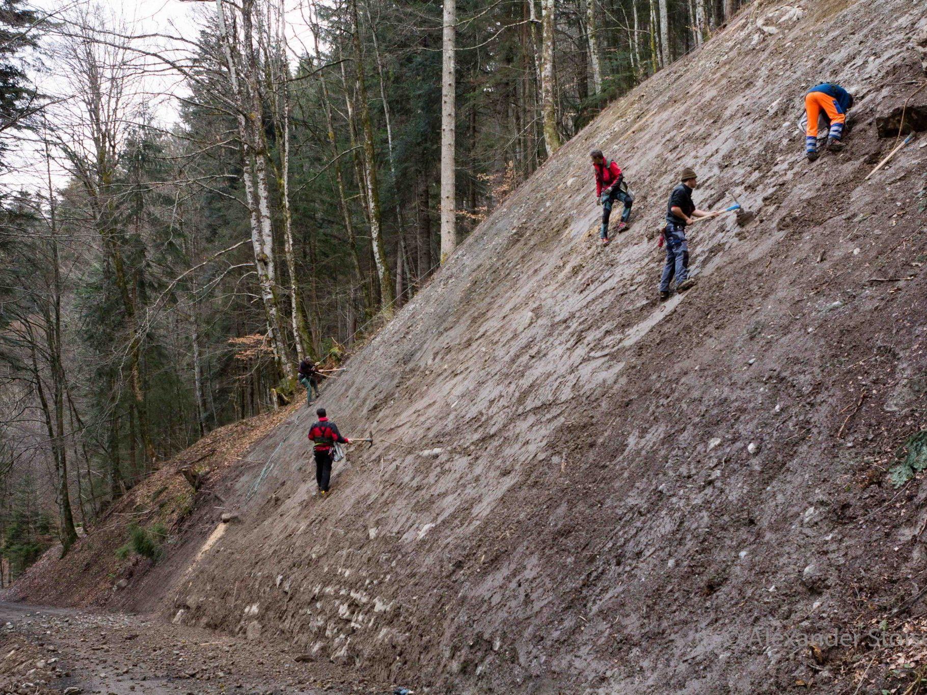 Eine steile, sanierte Rutschfläche wurde von Mitgliedern der Bergrettung Vandans aufgeforstet.