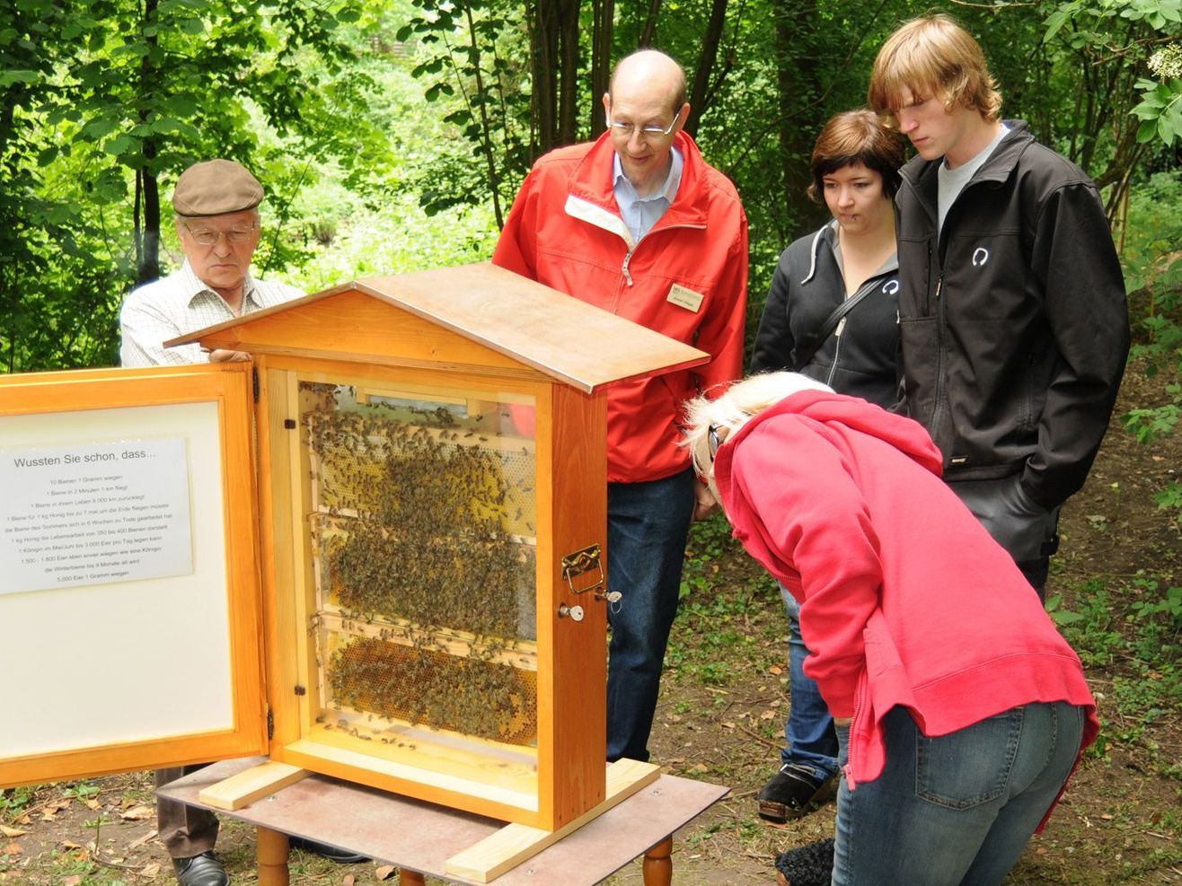 Erfolgreiche Öffentlichkeitsarbeit des Bienenzuchtvereins Höchst, Fußach, Gaißau, Hard Erfolgreiche Öffentlichkeitsarbeit des Bienenzuchtvereins Höchst, Fußach, Gaißau, Hard