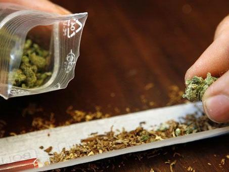 Das Cannabis bezog der 13-Jährige von vielen Dealern.
