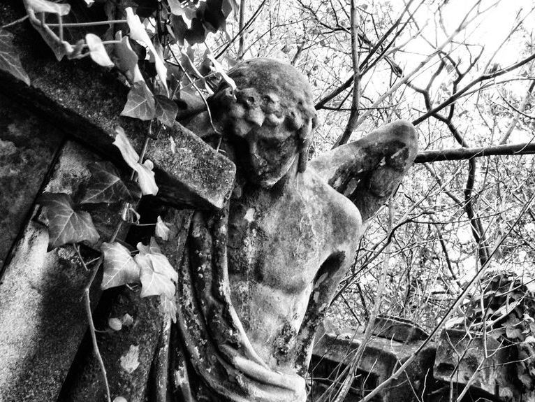 Neben dem Mozartgrab finden sich jede Menge versteckter Orte auf dem Friedhof St. Marx Neben dem Mozartgrab finden sich jede Menge versteckter Orte auf dem Friedhof St. Marx