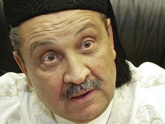 Libyens Ex-Premier Ghanem wurde tot in der Neuen Donau gefunden - war es Fremdverschulden? Libyens Ex-Premier Ghanem wurde tot in der Neuen Donau gefunden - war es Fremdverschulden?