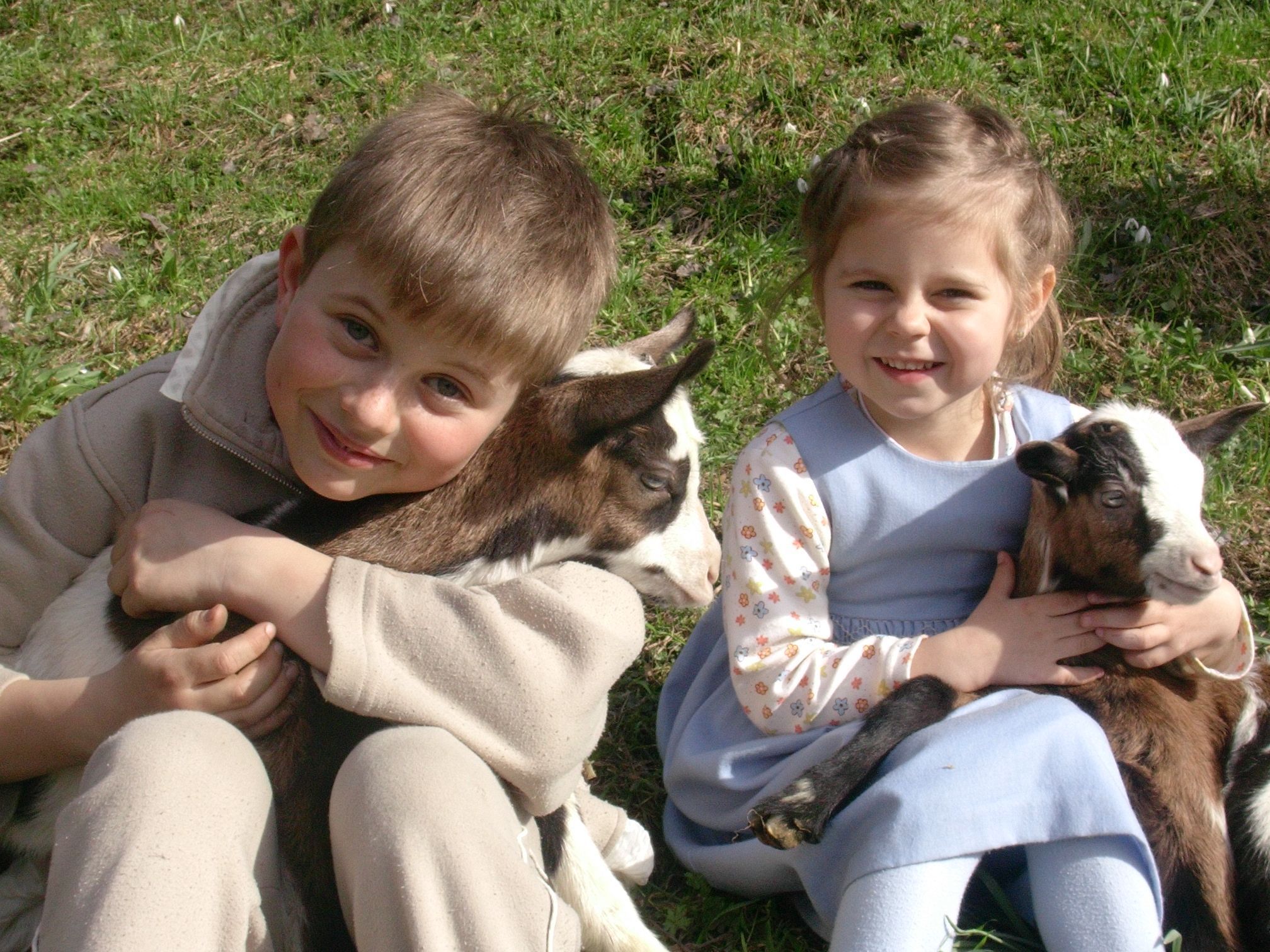 Die Kinder lieben die verspielten Vierbeiner Die Kinder lieben die verspielten Vierbeiner