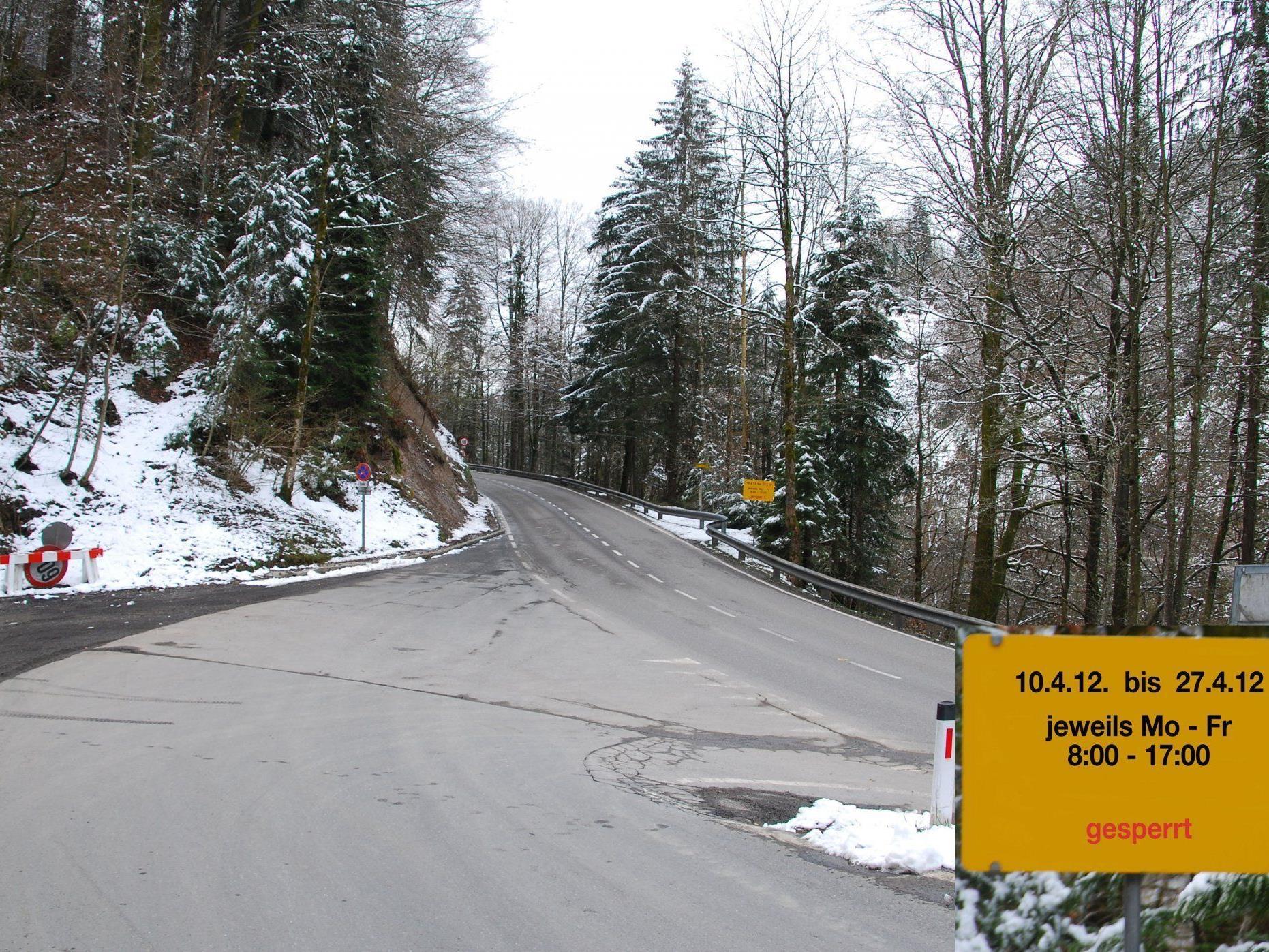 Wegen Forstarbeiten muss die Langenerstraße vom Wirtatobel bis Langen wochentags gesperrt werden.