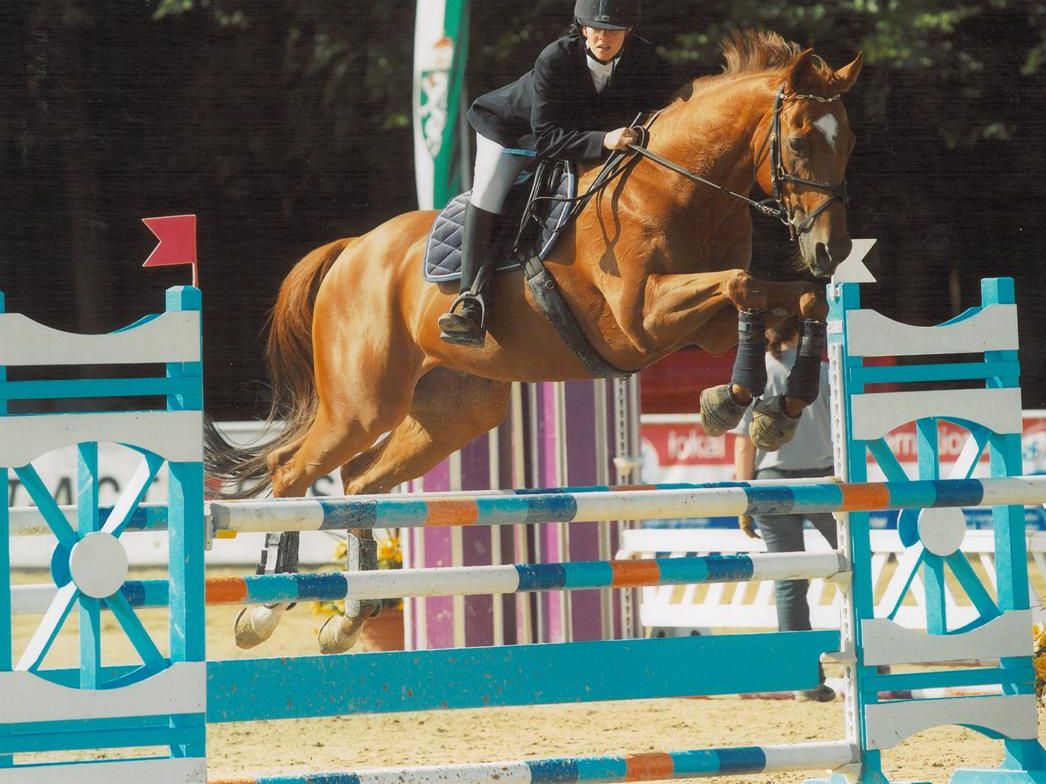 Reitsport vom Feinsten zwei Tage lang in Höchst. Reitsport vom Feinsten zwei Tage lang in Höchst.
