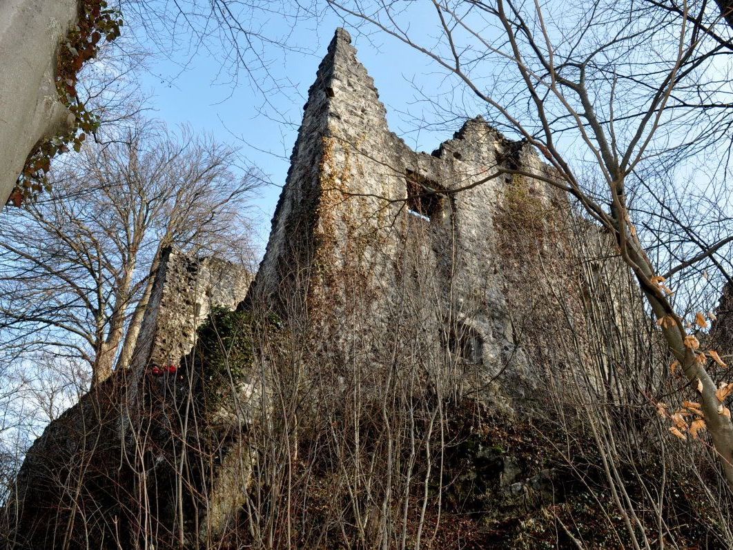 Am Sonntag, den 15. April, findet eine interessante Führung zur Ruine Neuburg statt. Am Sonntag, den 15. April, findet eine interessante Führung zur Ruine Neuburg statt.