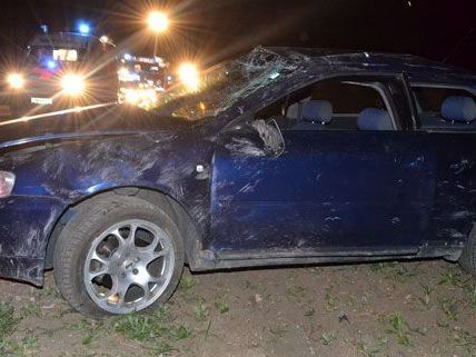 Zu einem schweren verkehrsunfall kam es, als eine Lenkerin auf der L4040 im Bezirk Baden die Kontrolle über ihr Fahrzeug verlor. Zu einem schweren verkehrsunfall kam es, als eine Lenkerin auf der L4040 im Bezirk Baden die Kontrolle über ihr Fahrzeug verlor.