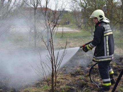 Weil Kinder mit Streichhölzern spielten, kam es am Dienstag zum Flurbrand in Felixdorf. Weil Kinder mit Streichhölzern spielten, kam es am Dienstag zum Flurbrand in Felixdorf.