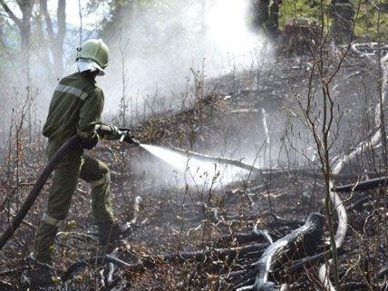 Die Löscharbeiten nach dem Flurbrand in Gutenstein am Sonntag gestalteten sich schwierig. Die Löscharbeiten nach dem Flurbrand in Gutenstein am Sonntag gestalteten sich schwierig.