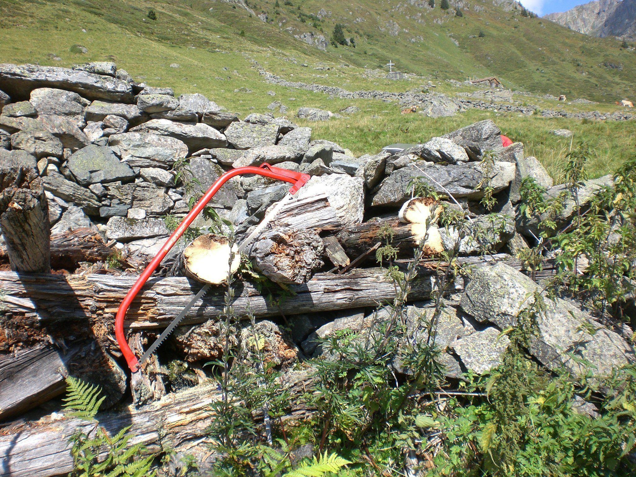 Holzreste alpiner Ruinen lassen interessante Rückschlüsse zu.