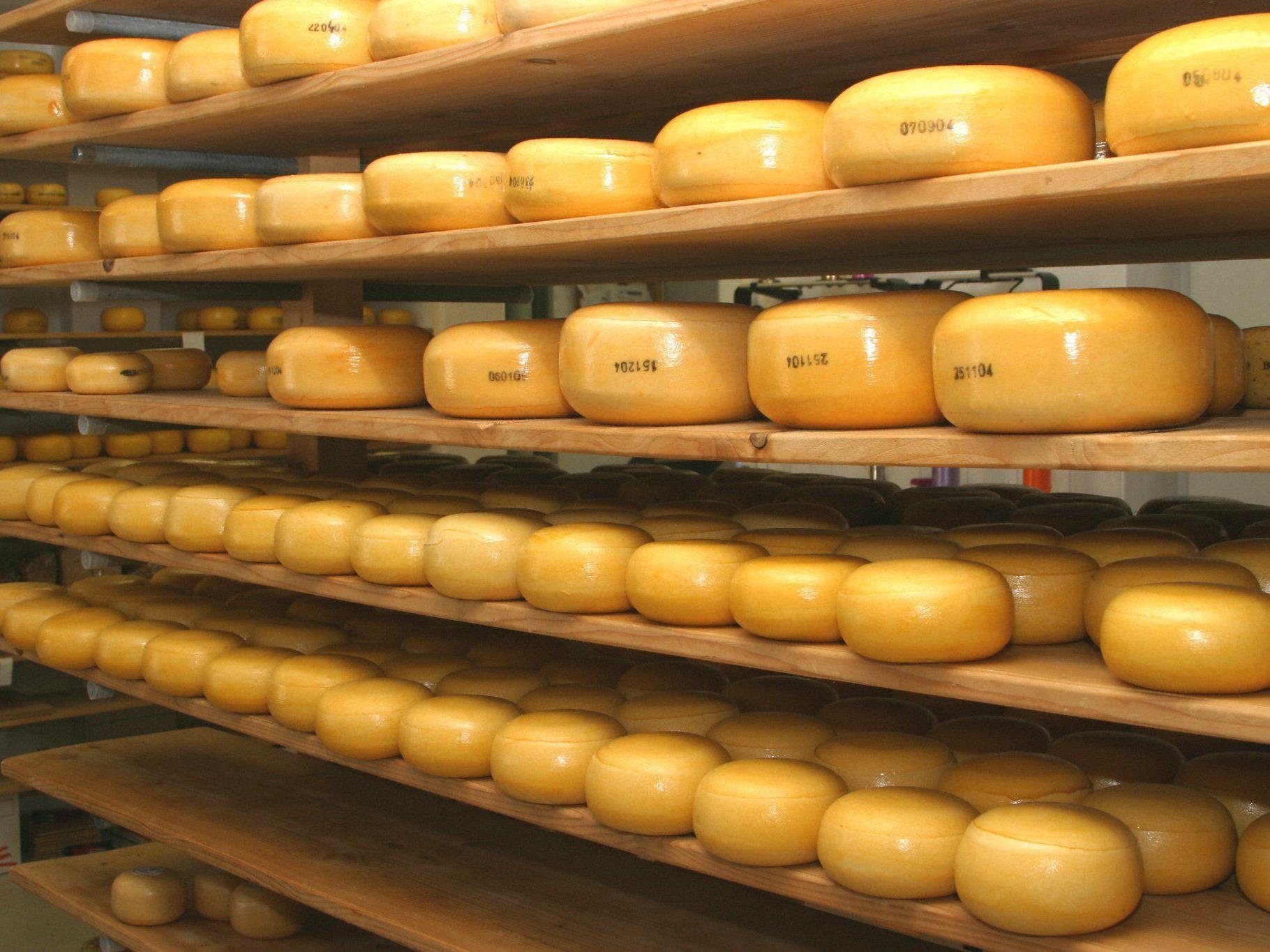 Rund 100 Mitarbeiter sollen im geplanten "Käse-Kompetenzzentrum" wie bisher die Schnitt- und Hartkäsesorten "Bergkäse", "Gouda" und vor allem "Emmentaler" erzeugen.