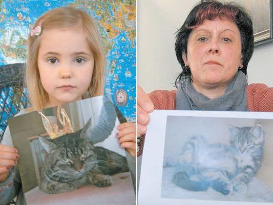 Die fünfjährige Anna Gasser vermisst ihre Katze Mathilda. Und Ursula Grabher weiß nicht, wo ihr Kater Rambo abgeblieben ist. Die fünfjährige Anna Gasser vermisst ihre Katze Mathilda. Und Ursula Grabher weiß nicht, wo ihr Kater Rambo abgeblieben ist.