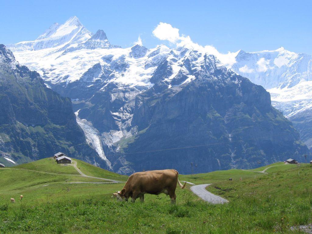 "Zum Sterben in die Schweiz": Im Kanton Zürich ist Sterbehilfe erlaubt.