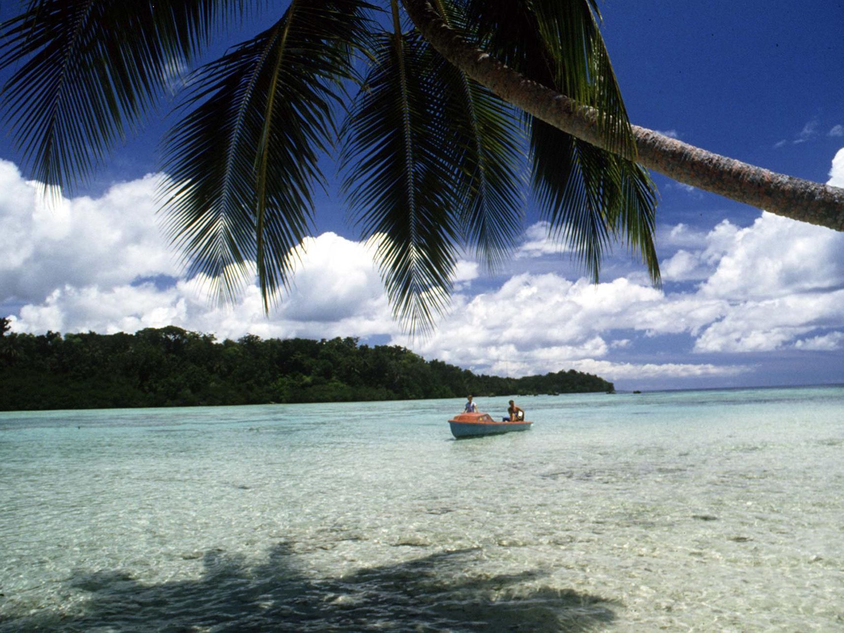 Außerhalb Ozeaniens komme die Mutation nicht vor, schreiben die Forscher. Außerhalb Ozeaniens komme die Mutation nicht vor, schreiben die Forscher.