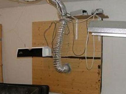 Die Installationen in dem Raum lassen darauf schließen, dass der Beschuldigte deutlich mehr als acht Hanfpflanzen aufgezogen hat. Die Installationen in dem Raum lassen darauf schließen, dass der Beschuldigte deutlich mehr als acht Hanfpflanzen aufgezogen hat.