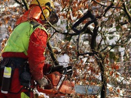 Ein Arbeiter aus Thalheim trennte sich bei Sägearbeiten einen Finger ab Ein Arbeiter aus Thalheim trennte sich bei Sägearbeiten einen Finger ab