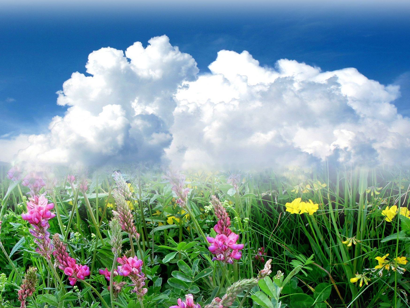 Der Sommer geht, der Frühling bleibt jedoch Der Sommer geht, der Frühling bleibt jedoch