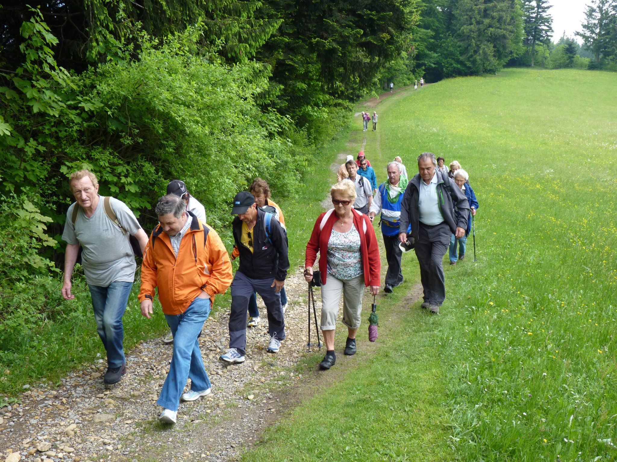 Die Bürserberger Senioren waren von der Pfänderstock-Wanderung beeindruckt. Die Bürserberger Senioren waren von der Pfänderstock-Wanderung beeindruckt.