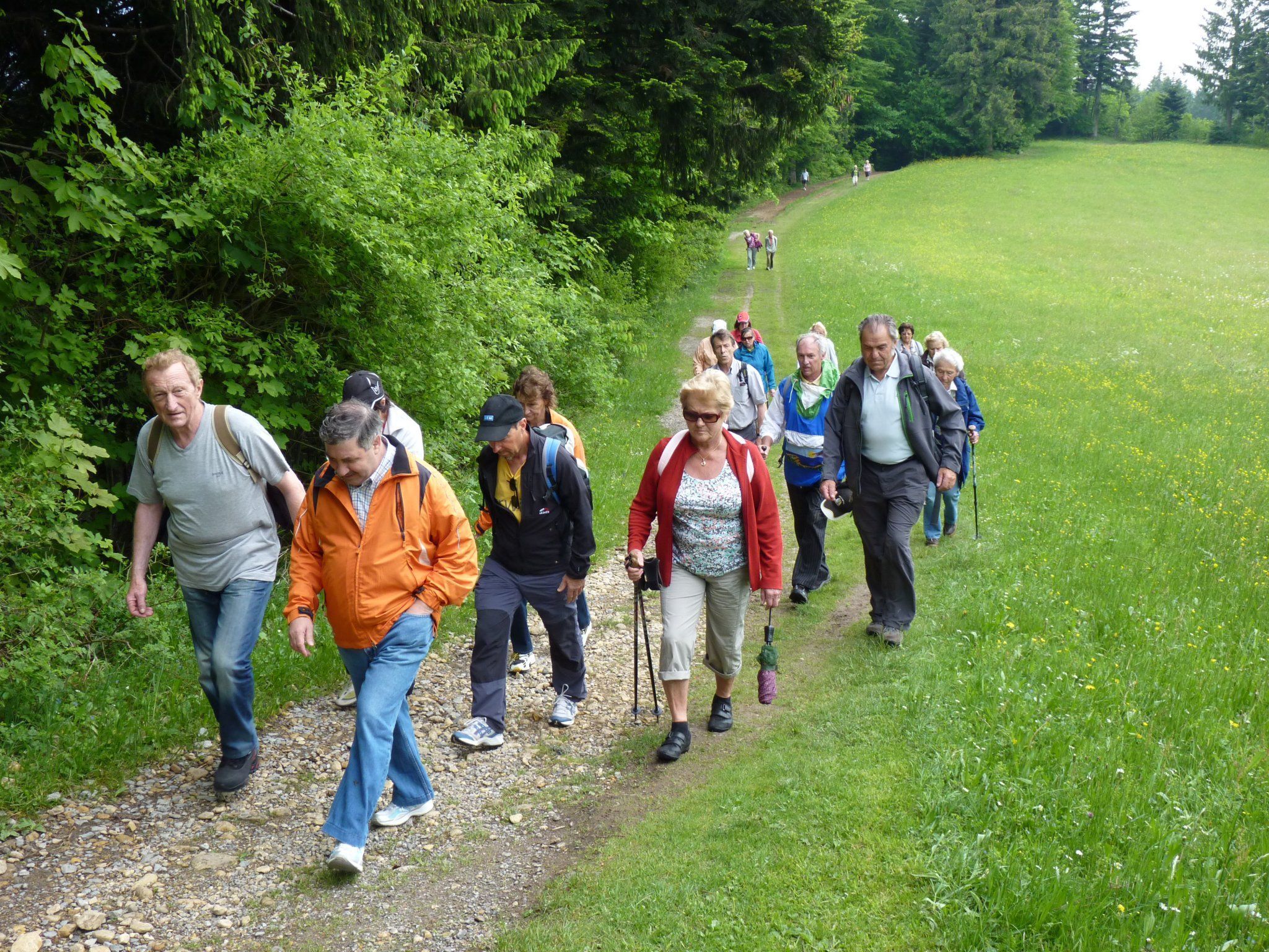 Die Bürserberger Senioren waren von der Pfänderstock-Wanderung beeindruckt.