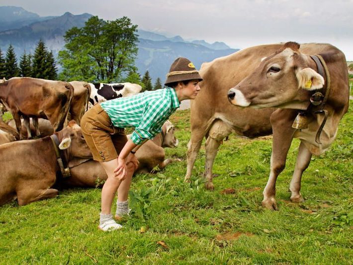 Als Säulen der Vorarlberger Tourismuswirtschaft nannte Wallner die Schlagworte Gastfreundschaft, Nachhaltigkeit und Regionalität. Als Säulen der Vorarlberger Tourismuswirtschaft nannte Wallner die Schlagworte Gastfreundschaft, Nachhaltigkeit und Regionalität.
