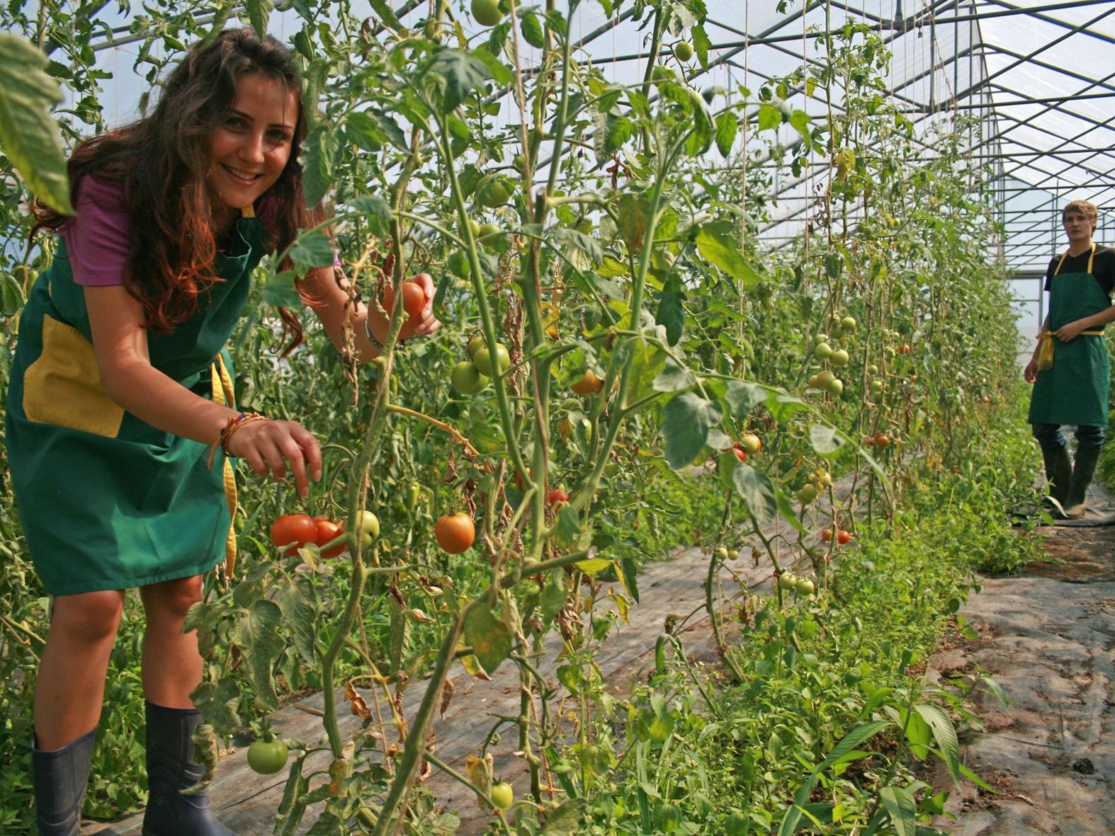Unterschiedlichste Ferienjobs findet man in der aha-Ferienjobbörse unter http://ferienjob.aha.or.at Unterschiedlichste Ferienjobs findet man in der aha-Ferienjobbörse unter http://ferienjob.aha.or.at