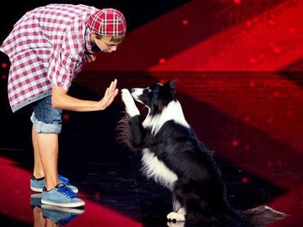 Lukas und Falco haben bereits an der ORF-Sendung "Die große Chance" teilgenommen. Lukas und Falco haben bereits an der ORF-Sendung "Die große Chance" teilgenommen.