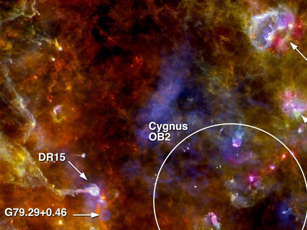 Der Staub- und Gasnebel Cygnus-X im Sternbild Schwan.
